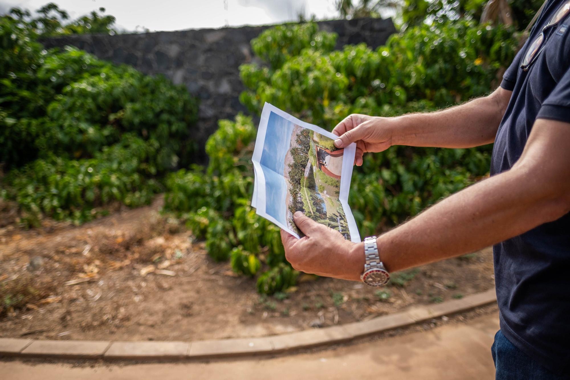 Recorrido por el Palmétum de Santa Cruz