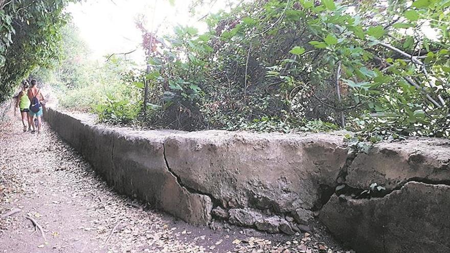 Árboles de la senda botánica dañan parte de una acequia del siglo XIII