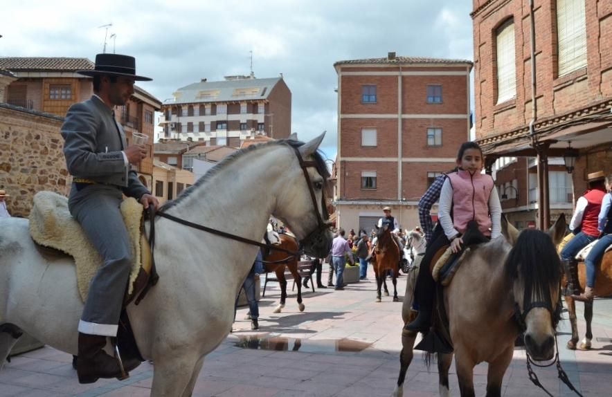 Día del Caballo en Benavente