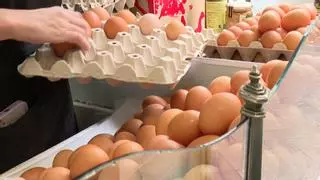 Los huevos son uno de los alimentos básicos de nuestra dieta