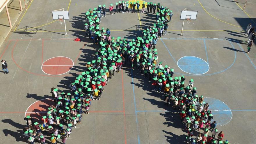 Trescientos alumnos del colegio Virgen de la Vega se solidarizan con las personas que sufren cáncer | E. P.