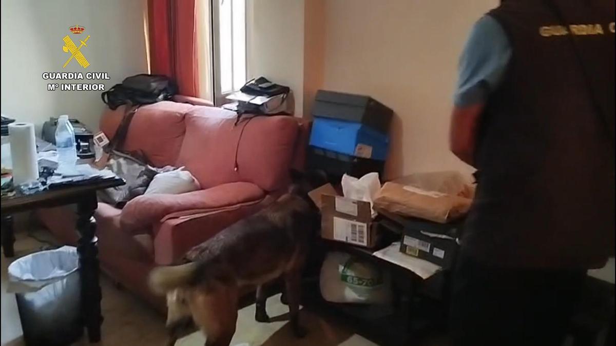 Vídeo | Operación Homeros de la Guardia Civil en Sevilla y Cádiz