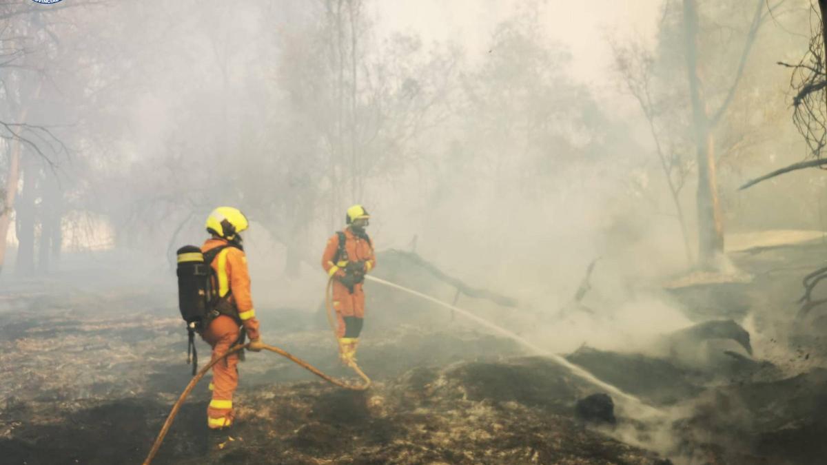 Una gran columna de humo en Almussafes se divisa en toda València