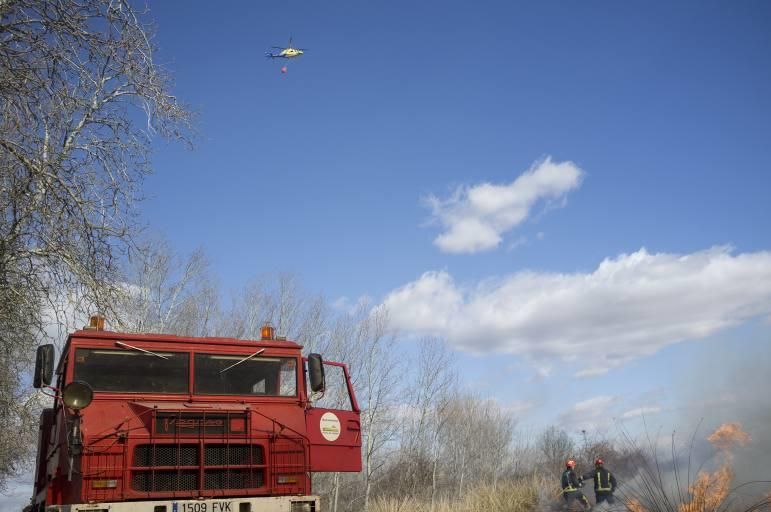 Incendio en los aledaños de El Ermitaño