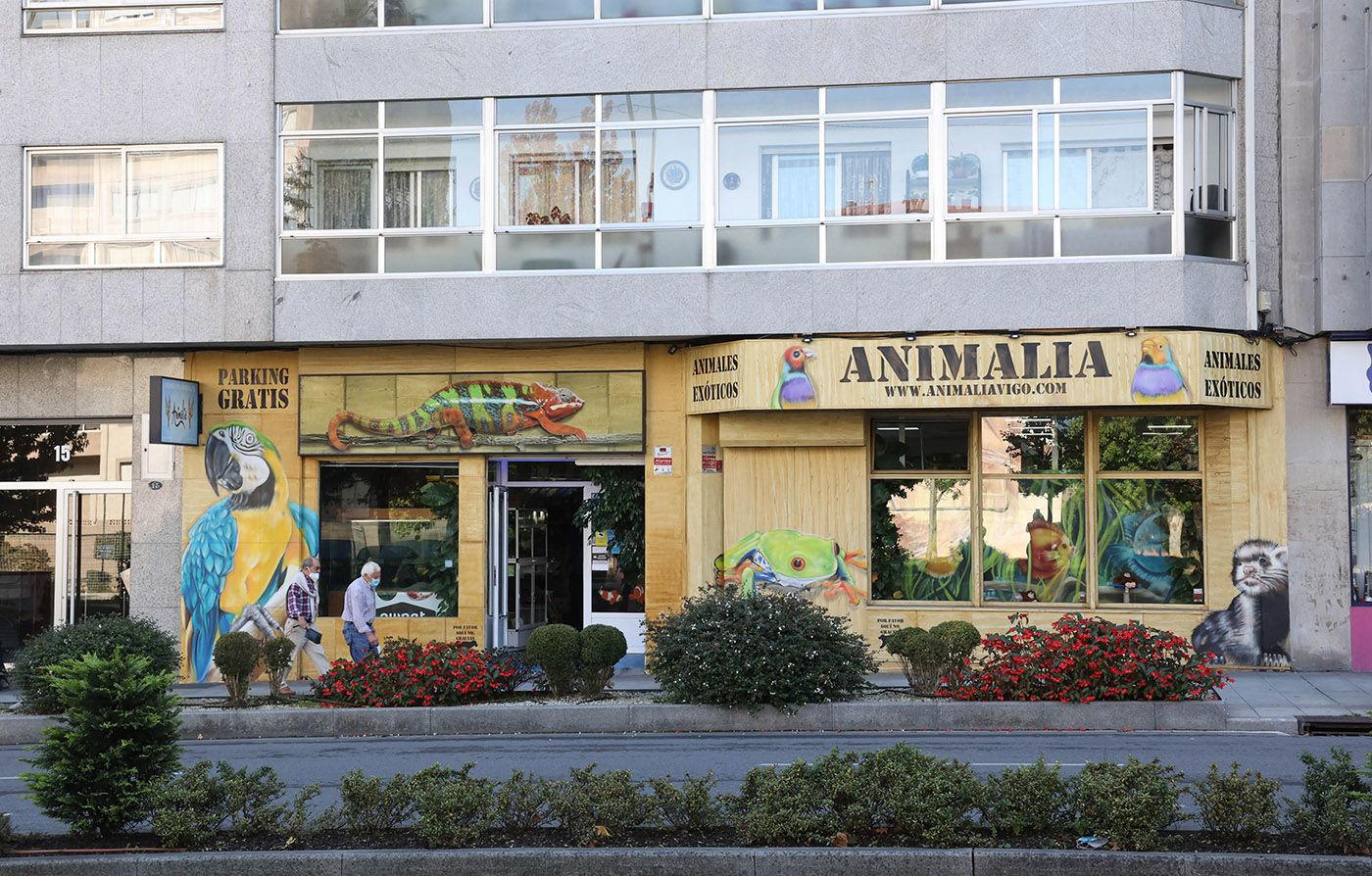 Tienda animales Animalia en Vigo (1).jpg