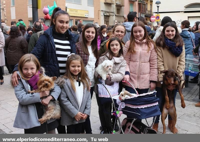 Sant Antoni en la provincia de Castellón