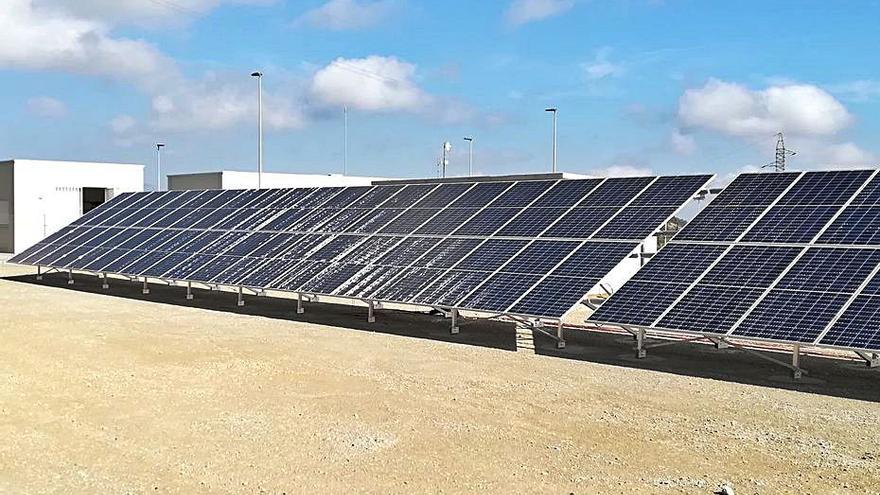 Placas solares situadas en la depuradora de Bullas. | CARM