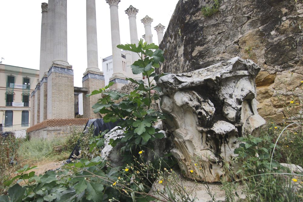 Estado de abandono del Templo Romano