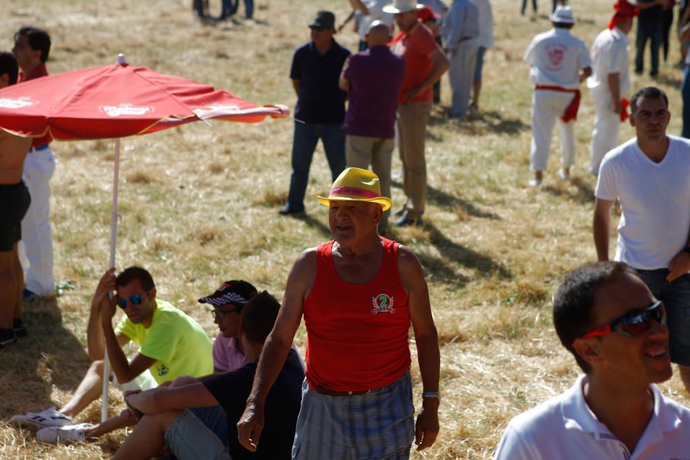 Espantes de Fuentesaúco