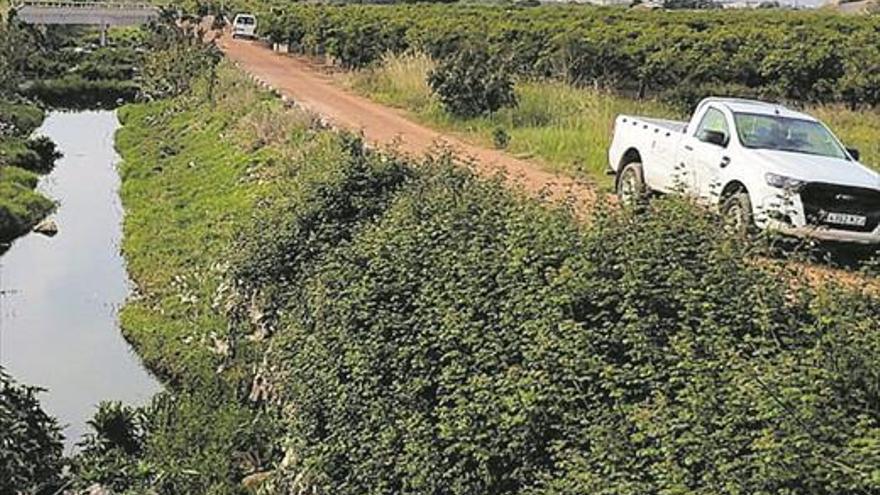 Vila-real refuerza las acciones ante el aumento de mosquitos