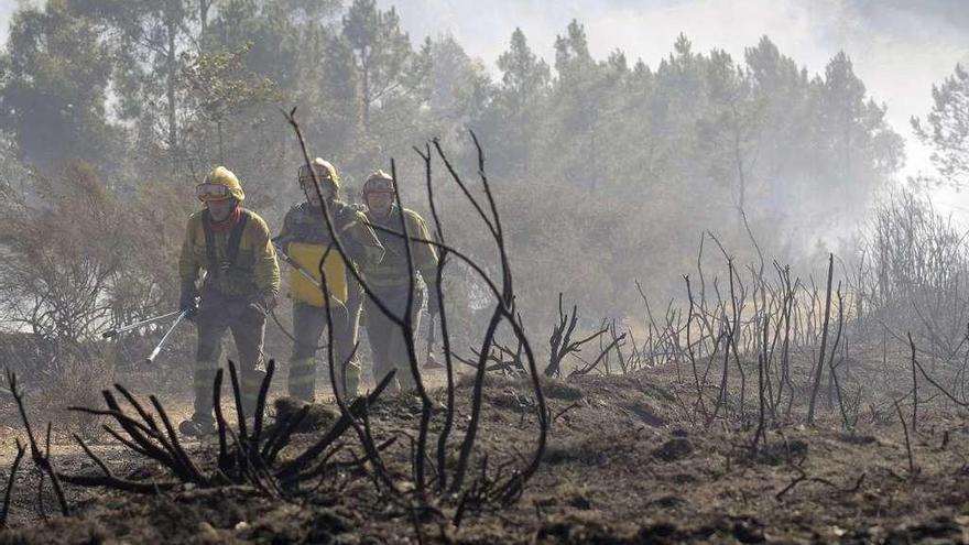 Bomberos forestales en un incendio en la parroquia agoladesa de Brántega. // Bernabé/Javier Lalín