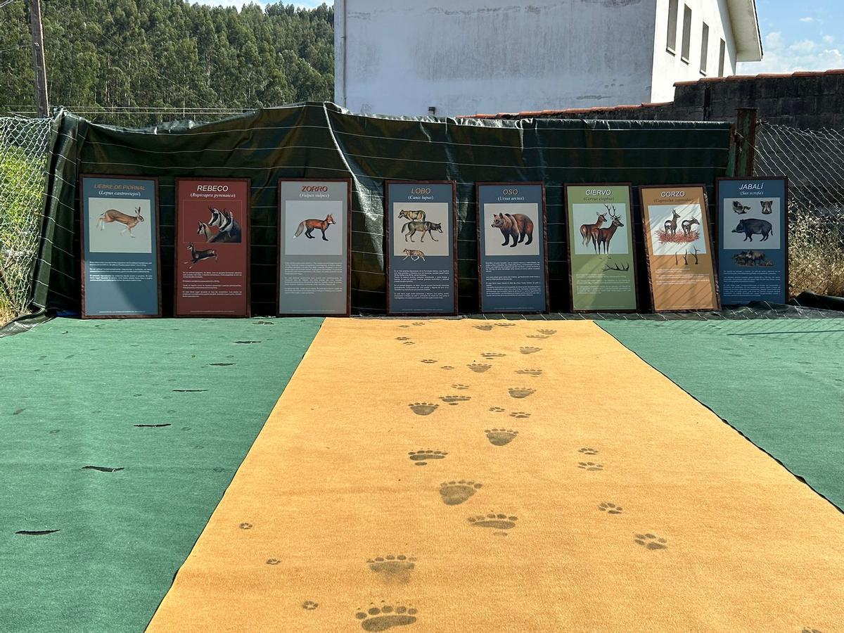 Un juego para adivinar el animal según las huellas.