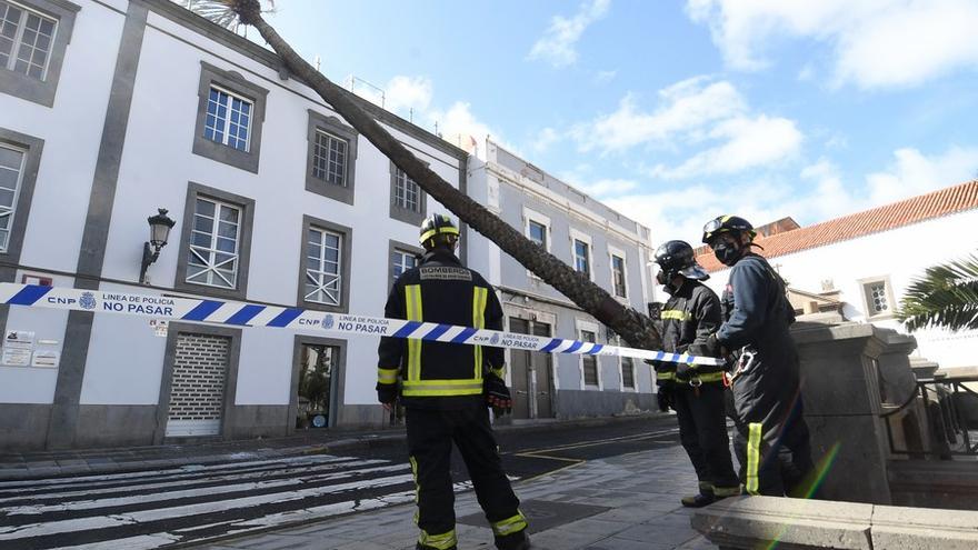 Una palmera se estrella contra un edificio en la Alameda de Colón