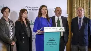 Los tránsfugas de Vox en Baleares reculan y Abascal paraliza su expulsión