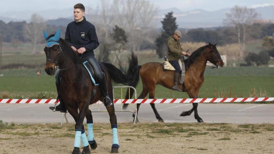 Maçanet beneeix el bestiar en la tradicional festa de Sant Antoni Abad