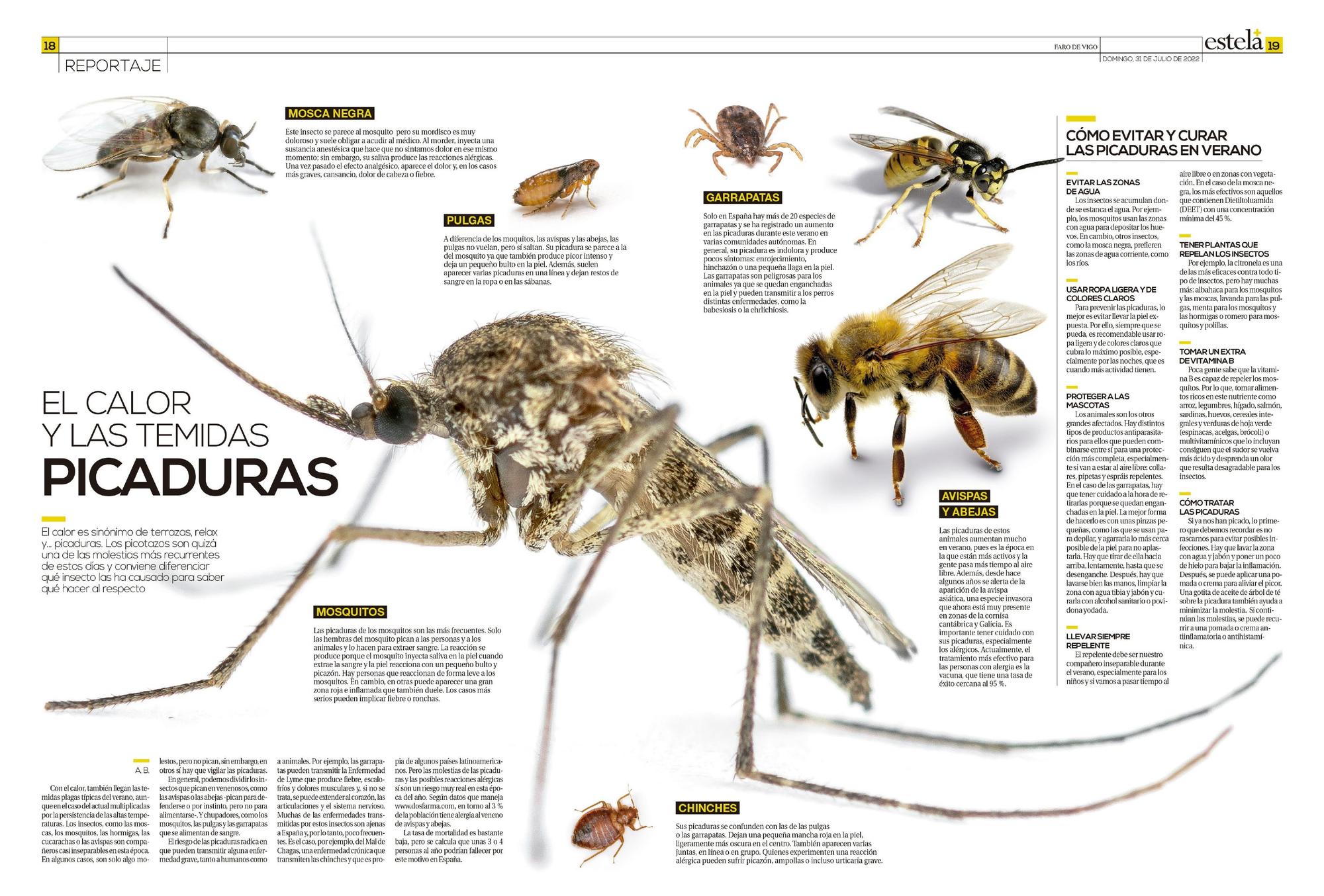 Algunos de los diseños de FARO premiados en los European Newspaper Award