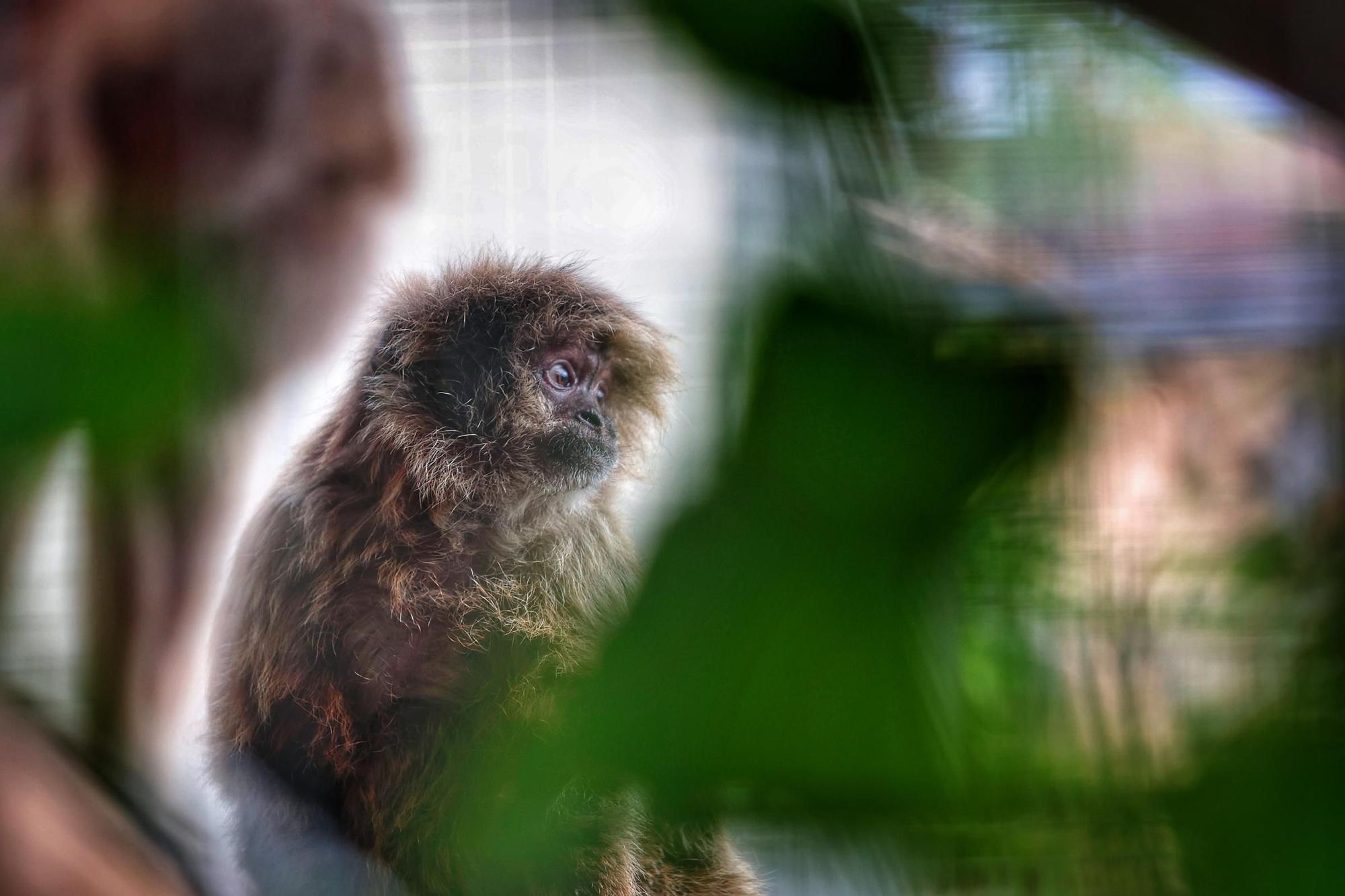 Centro de Fauna Exótica de Santa Cruz