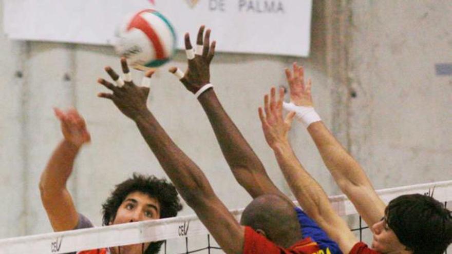 Los jugadores del Barcelona defienden un remate del Palma Volley.