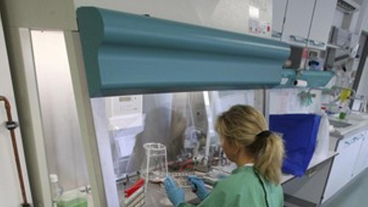 Una experta analiza muestras de un pepino en un laboratorio de la oficina estatal para la seguridad agrícola y alimentaria de Mecklenburg-Vorpommern, en Rostock (Alemania).