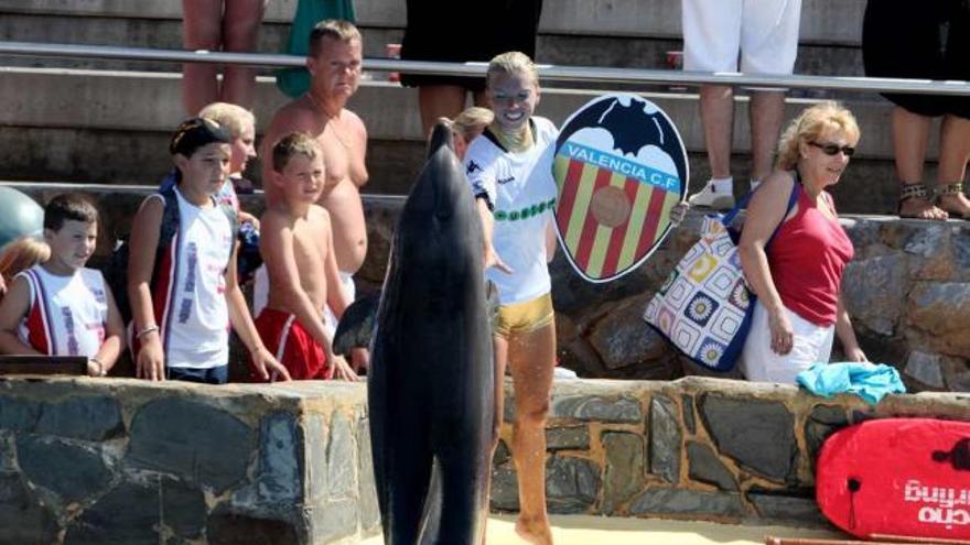 El &quot;Paul&quot; de Mundomar. El delfín Aqua debió quedarse quieto