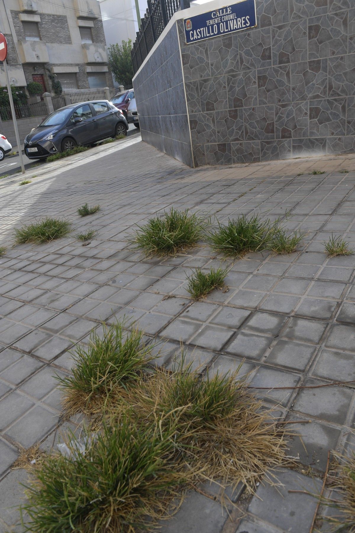 Hierbas en aceras de las calles de Escaleritas