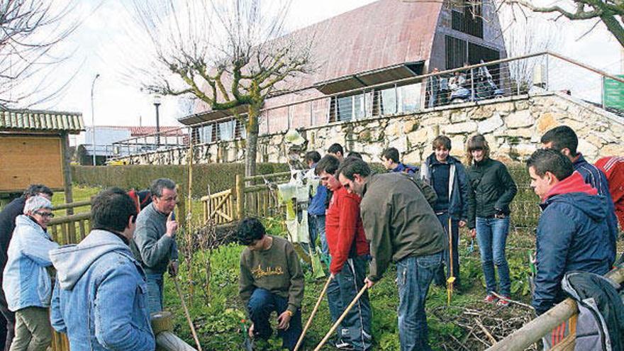 El obradoiro de horticultura se celebró en el Aula de Oira.  // J. Regal