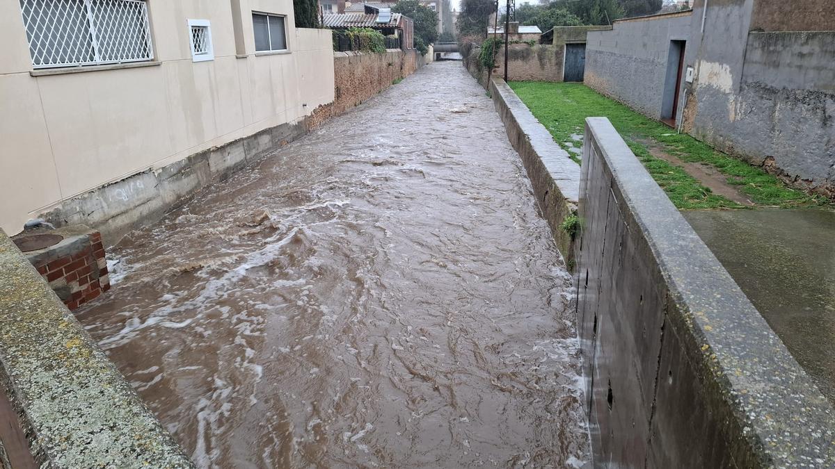 Les fotos dels efectes de la llevantada a les comarques gironines