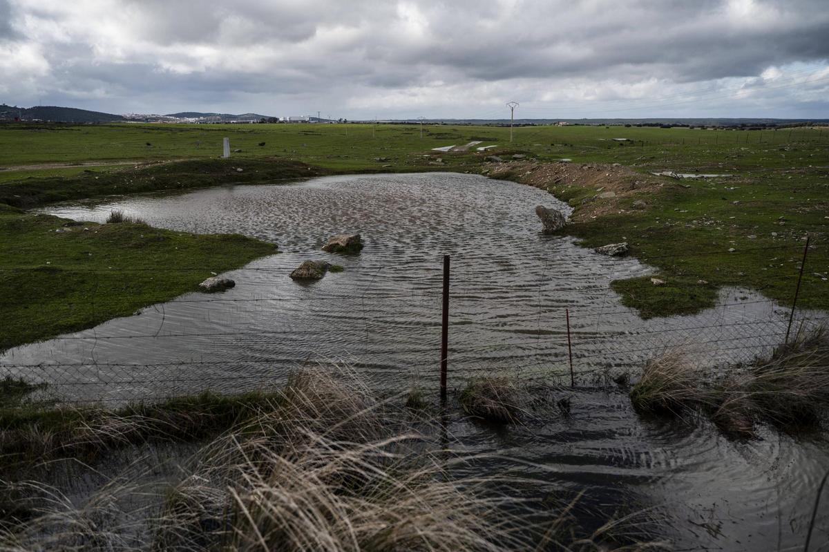 El Guadiloba asoma fuera de su pantano de Cáceres