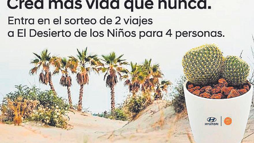 Hyundai Huertas Móvil ayuda a crear un oasis solidario