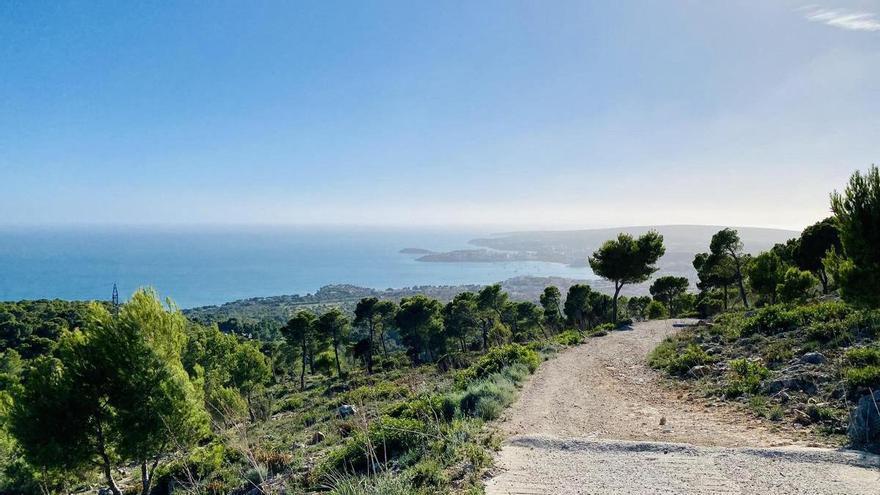 Wetter auf Mallorca: Nach dem schönen Wochenende wird es wieder kalt und regnerisch