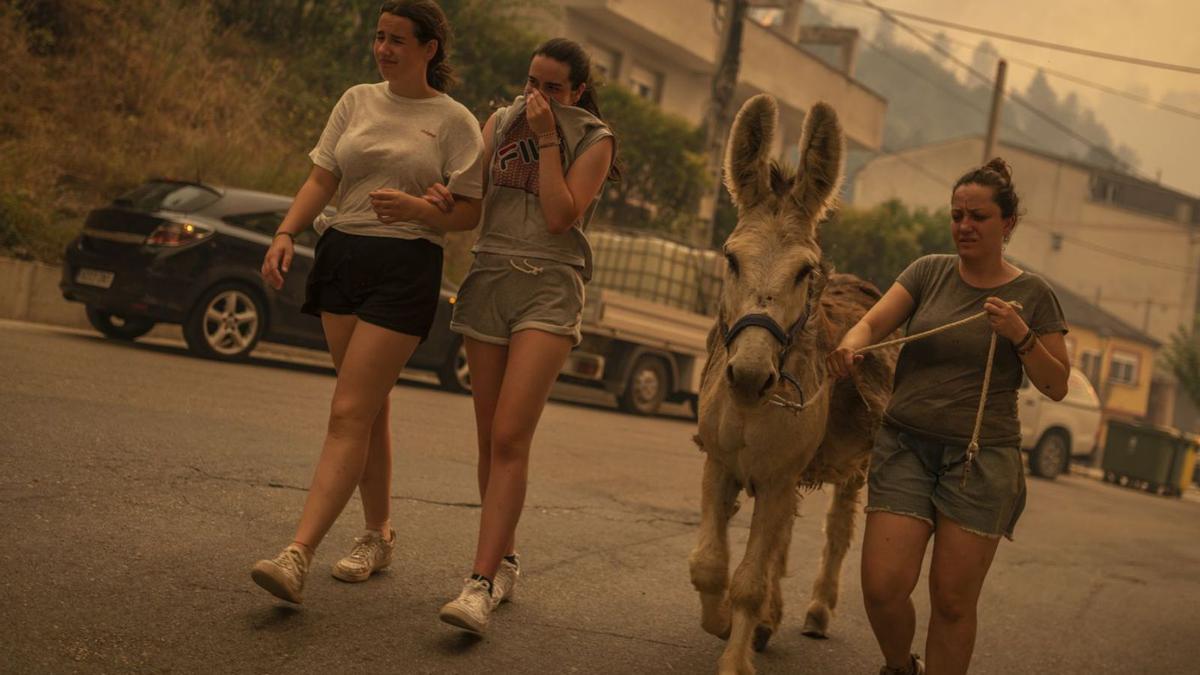 Tres mujeres guian a un burro lejos del humo y de las llamas en O Barco de Valdeorras.