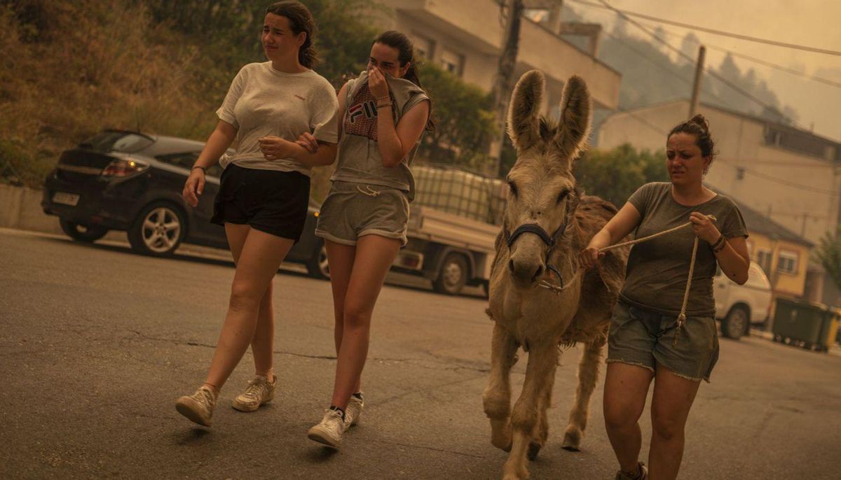 Tres mujeres guian a un burro lejos del humo y de las llamas en O Barco de Valdeorras.   | // BRAIS LORENZO