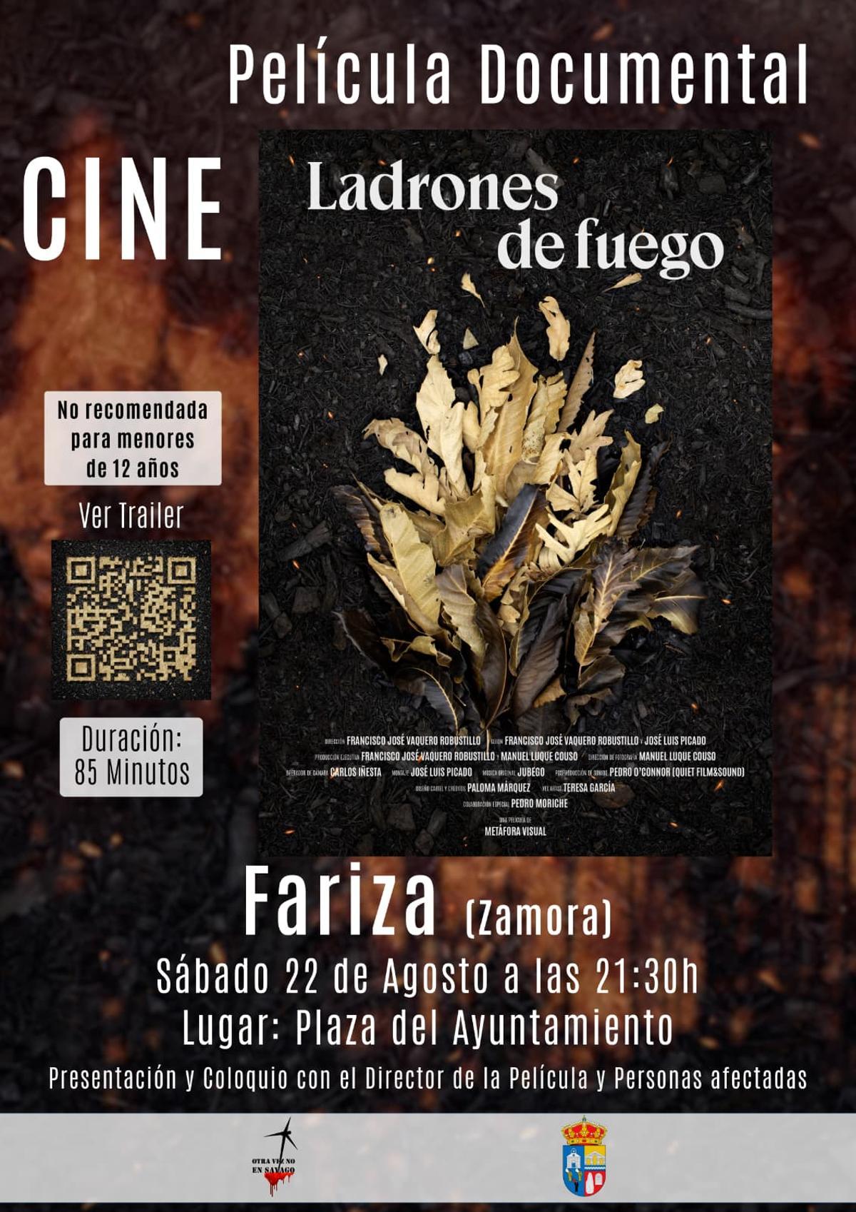 Cartel de la proyección