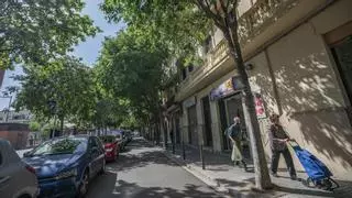 L’Hospitalet 'indulta' a una de sus principales arterias verdes y conservará los árboles actuales