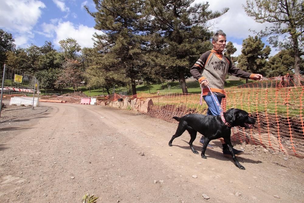 Reportaje: Gente con mascotas