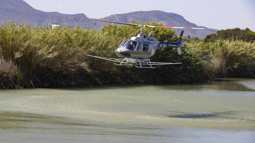 Tratamiento aéreo contra la mosca negra en el Xúquer