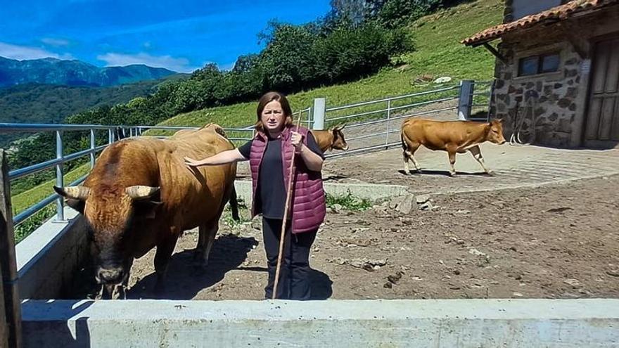 Lorena del Campo ejemplifica el drama de los ganaderos de Mieres: "Si hace tres años me dicen que nos quitarían los pastos de Pinos, no cojo la explotación"