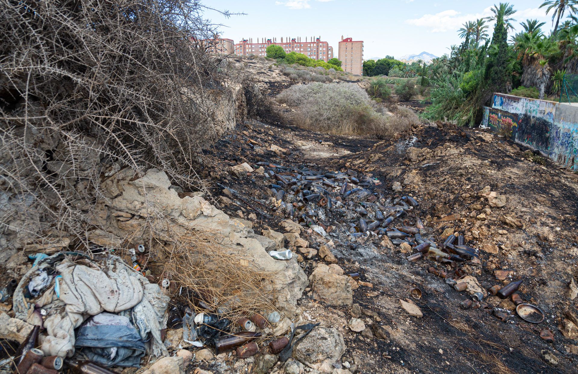 Centenares de botellas acumuladas