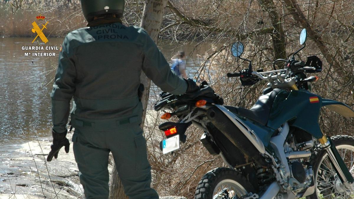 Un agente del Seprona cerca del río Tera