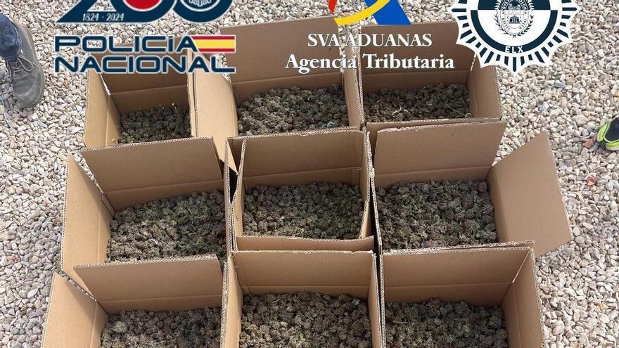 gilancia Aduanera desmantelan una plantación de marihuana en un chalé de Elche