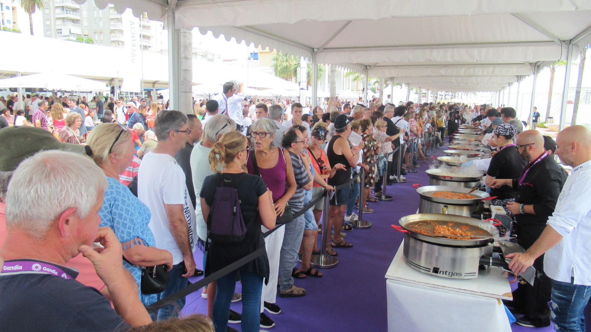 El concurso de Fideuà de Gandia, en imágenes