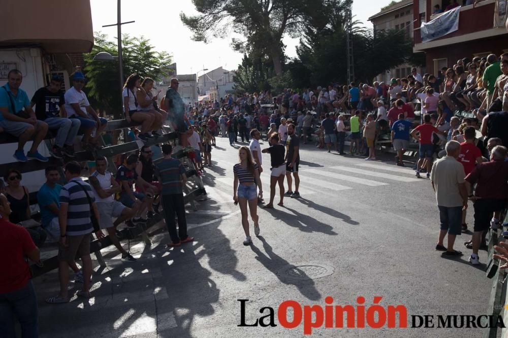 Tercer encierro en Calasparra