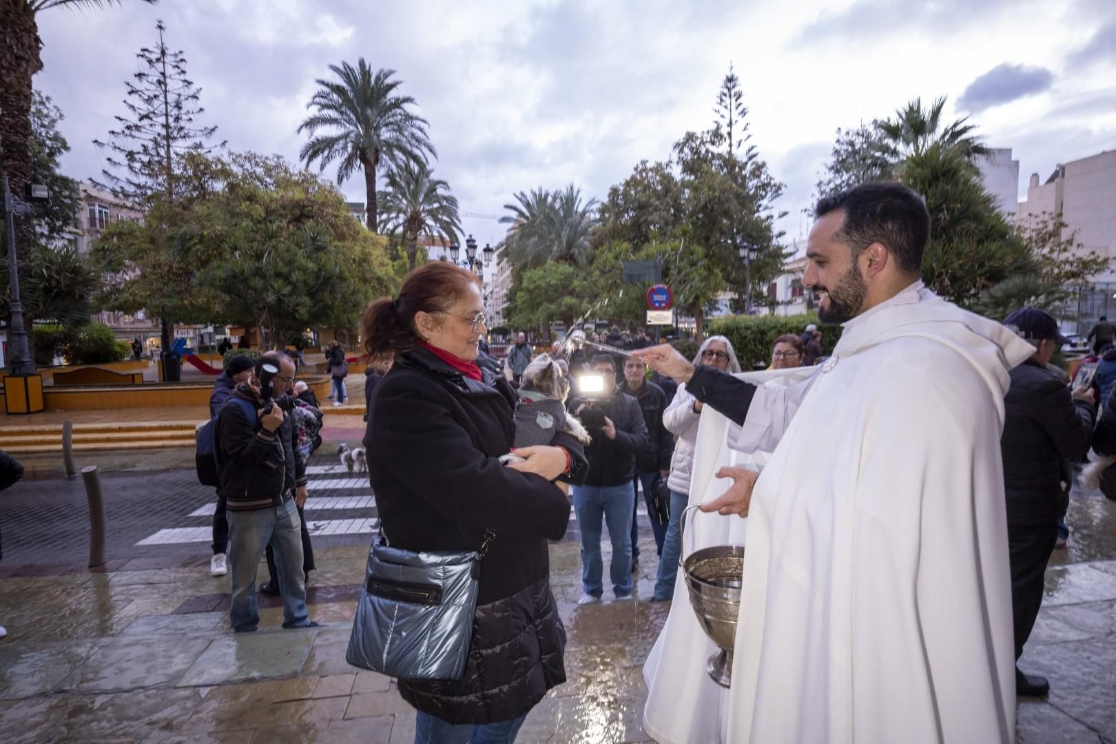 Bendición de animales por San Antón bajo una lluvia invernal en Torrevieja