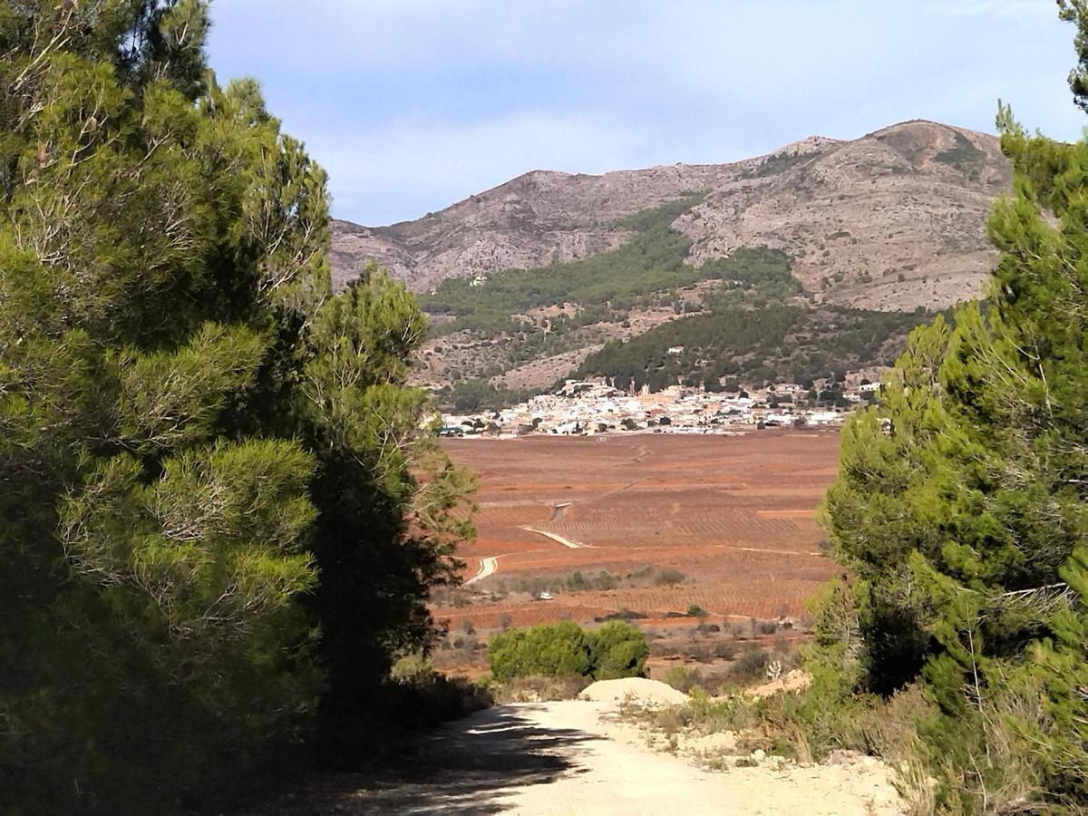 El valle agrícola y, al fondo, el núcleo de Llíber, en una imagen tomada desde los terrenos del PAI