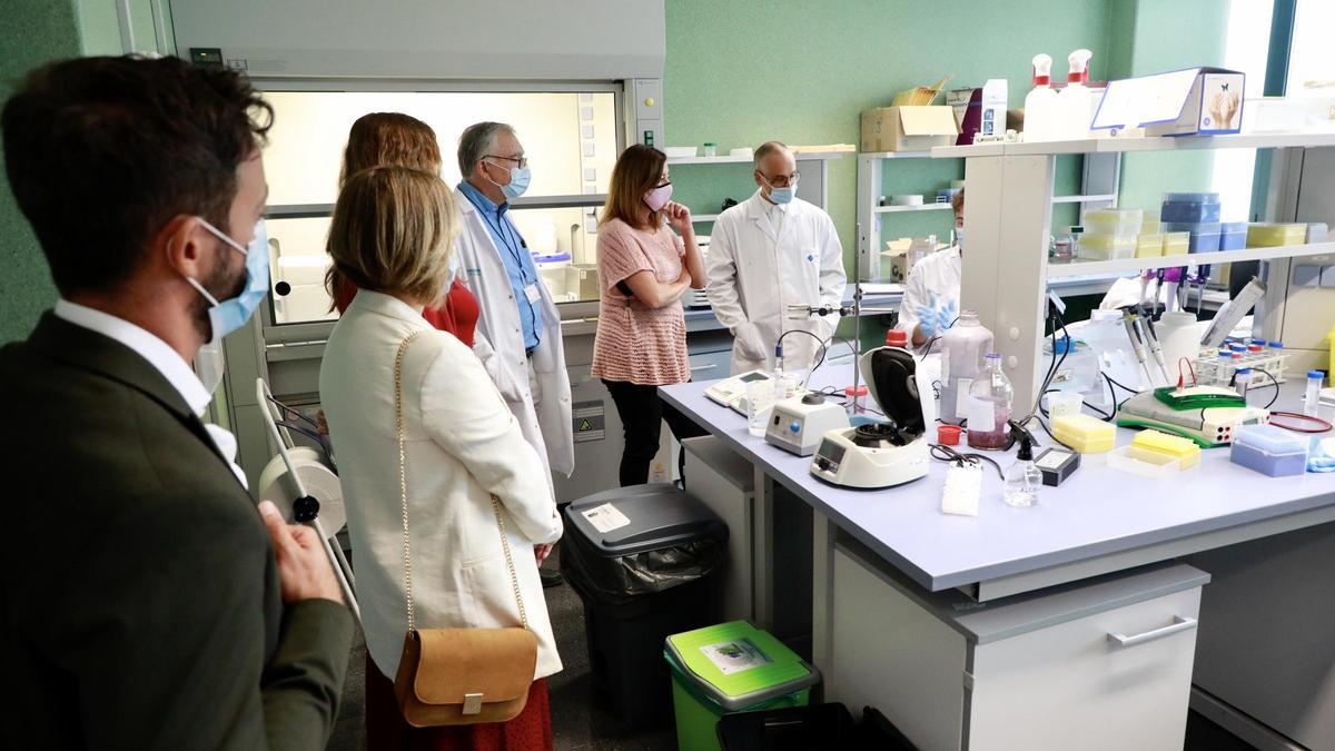 Baleares dedica 770.000 euros a investigaciones sobre la Covid-19