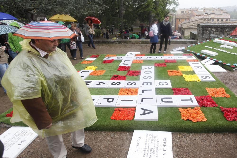 La pluja no desanima l'afluència de públic a «Temps de Flors»