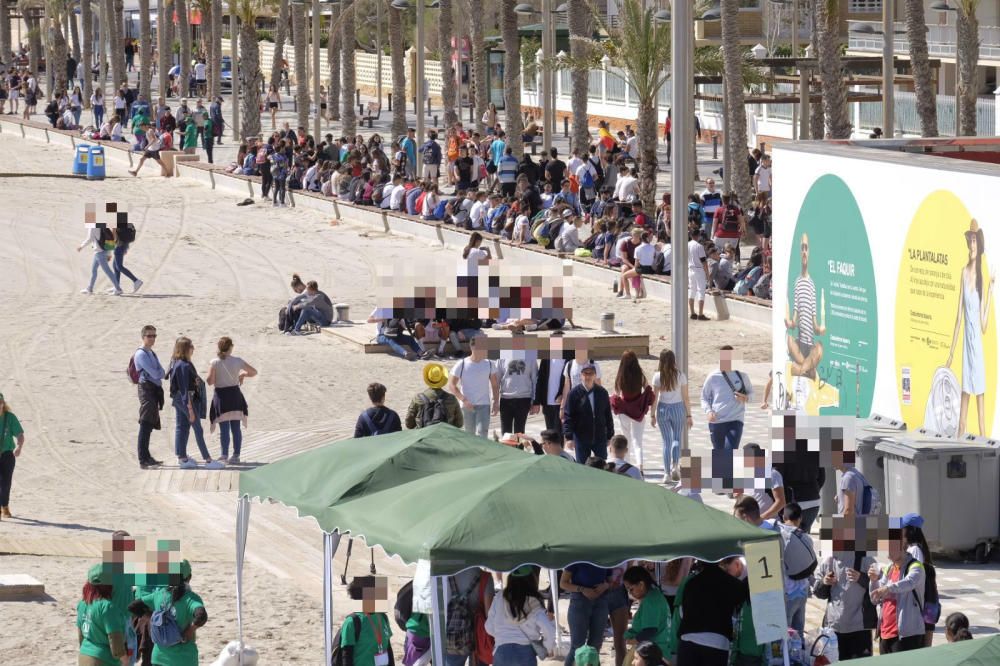 Botellón de Santa Faz 2018