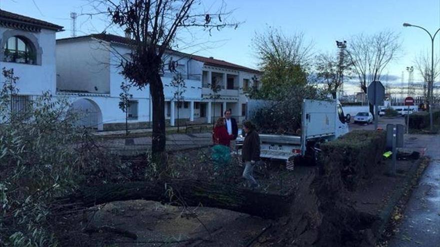 El temporal deja en Extremadura derrumbe de techos, caída de árboles y carreteras cortadas