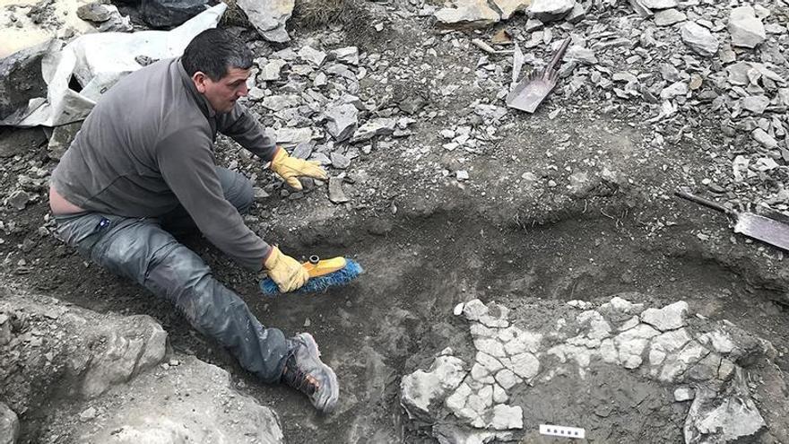 Ls restes de la closa de la tortuga de Coll de Nargó