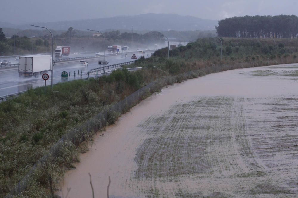 Camp inundat prop de la sortida Girona Oest de l'AP7